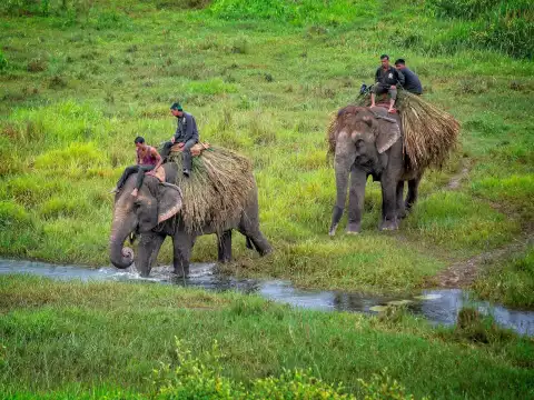 Chitwan Wildlife Adventure Tour