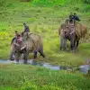 Chitwan Wildlife Adventure Tour